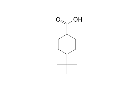 4-tert-Butylcyclohexanecarboxylic acid