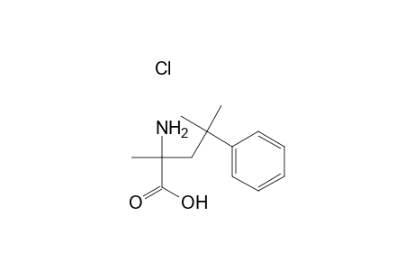 2-Amino-2,4-dimethyl-4-phenylpentanoic acid Hydrochloride