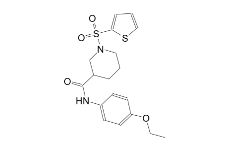 N-(4-ethoxyphenyl)-1-(2-thienylsulfonyl)-3-piperidinecarboxamide
