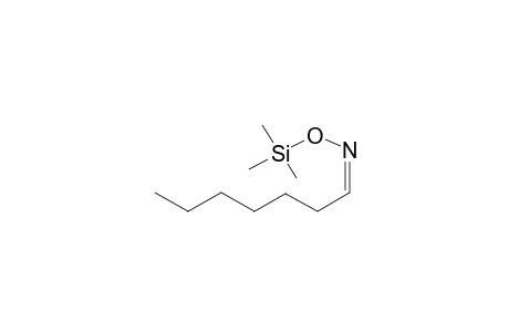 Heptanal oxime, mono-TMS, isomer 1