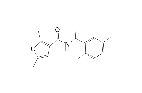 N-[1-(2,5-dimethylphenyl)ethyl]-2,5-dimethyl-3-furamide