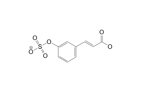 [3-[(E)-3-hydroxy-3-keto-prop-1-enyl]phenyl] sulfate