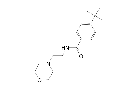4-tert-butyl-N-[2-(4-morpholinyl)ethyl]benzamide