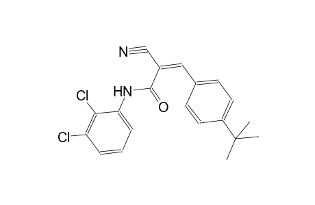 (2Z)-3-(4-tert-butylphenyl)-2-cyano-N-(2,3-dichlorophenyl)-2-propenamide