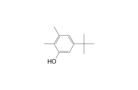 5-tert-Butyl-2,3-dimethyl-phenol