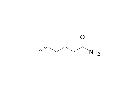 5-Methyl-5-hexenamide