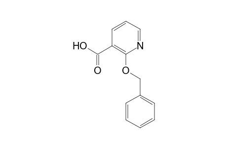 2-(Benzyloxy)nicotinic Acid