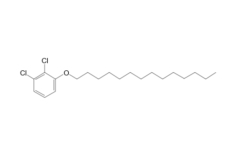 2,3-Dichlorophenyl tetradecyl ether