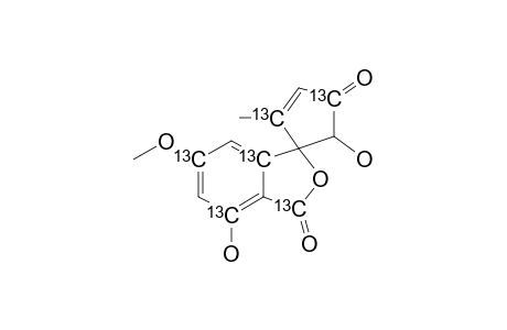 TALAROFLAVONE;SPIRO-[5'-HYDROXY-2'-METHYL-CYCLOPENT-2'-ENE-4'-ONE-1',3-7-HYDROXY-5-METHOXY-1(H)-ISOBENYOFURANE)