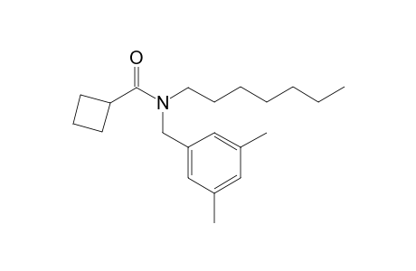 Cyclobutanecarboxamide, N-(3,5-dimethylbenzyl)-N-heptyl-
