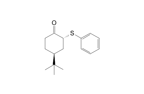 (trans)-4-tert-Butyl-2-phenylsulfanyl-cyclohexanone