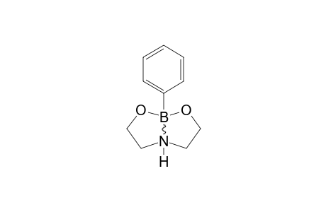 PERHYDRO-2-PHENYL-1,3,6,2-DIOXAZABOROCINE