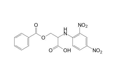 N-(2,4-dinitrophenyl)-L-serine, benzoate(ester)