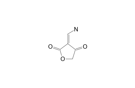 (E)-3-AMINOMETHYLENE-TETRONIC-ACID