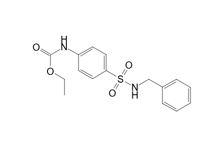 Carbamic acid, N-[4-(N-benzylamninosulfonyl)phenyl]-, ethyl ester