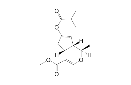 2-Methyl-4-[(2',2'-dimethylpropxy)carbonyl]-8-acetoxy-3-oxabicyclo[4.3.0]nona-4,8-diene