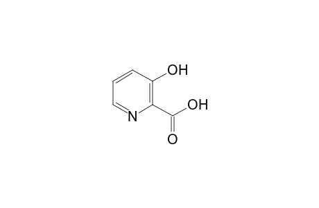 3-Hydroxypyridine-2-carboxylic acid