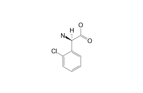 D-(-)-2-Chlorophenylglycine