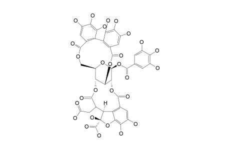 PHYLLANEMBLININ-C