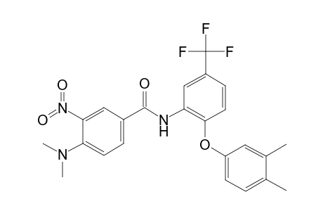 4-(dimethylamino)-N-[2-(3,4-dimethylphenoxy)-5-(trifluoromethyl)phenyl]-3-nitrobenzamide