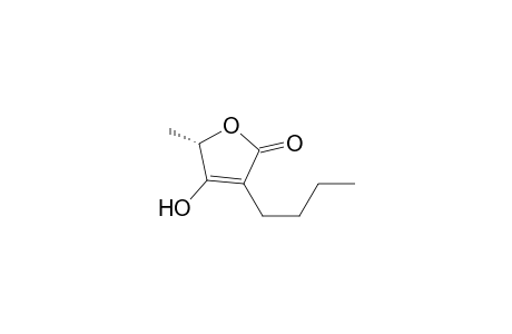 (S)-3-Butyl-4-hydroxy-5-methyl-2(5H)-furanone