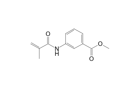 Methyl 3-Methacrylamidobenzoate