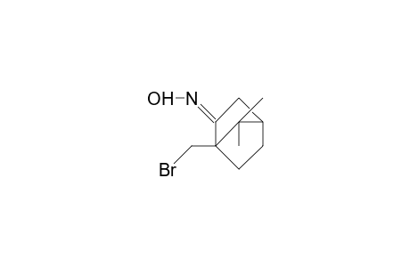 10-Bromo-2-oxo-camphane hydroxylamine