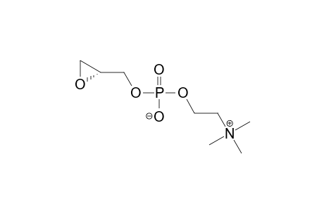 (R)-GLYCIDYL-PHOSPHOCHOLINE