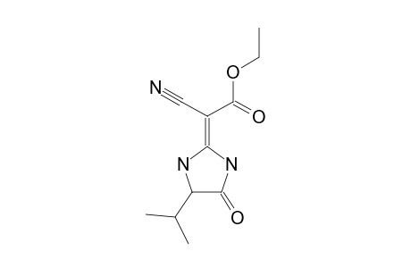 (2Z)-2-cyano-2-(4-isopropyl-5-keto-imidazolidin-2-ylidene)acetic acid ethyl ester