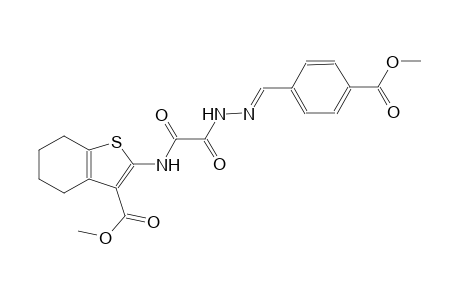 methyl 2-{[{(2E)-2-[4-(methoxycarbonyl)benzylidene]hydrazino}(oxo)acetyl]amino}-4,5,6,7-tetrahydro-1-benzothiophene-3-carboxylate