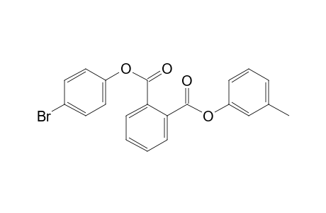 Phthalic acid, 4-bromophenyl 3-methylphenyl ester