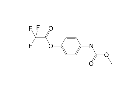 Phendipham-M/artifact (phenol) TFA