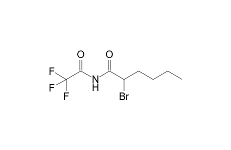 N-( .alpha.-Bromohexanoyl)-trifluoroacetamide