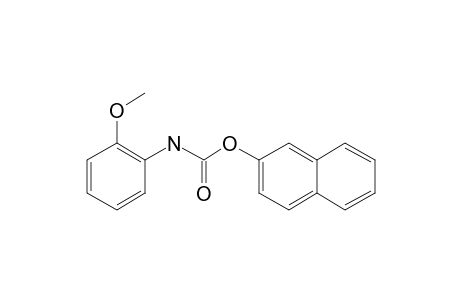 (2-Methoxyphenyl)carbamic acid, naphthalen-2-yl ester