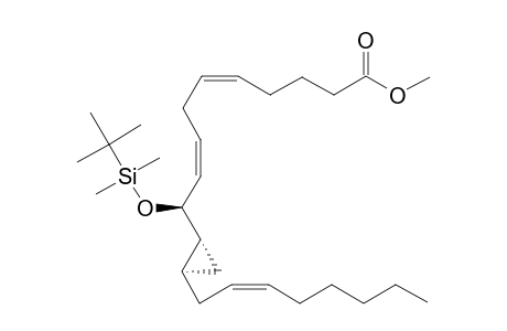 (10S,11R,12R)-Methyl-10-tert-butyldimethylsiloxy-11,12-cyclopropyl-5(Z),8(Z),14(Z)-eicosatrienoate