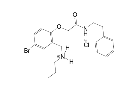 N-(5-bromo-2-{2-oxo-2-[(2-phenylethyl)amino]ethoxy}benzyl)-1-propanaminium chloride
