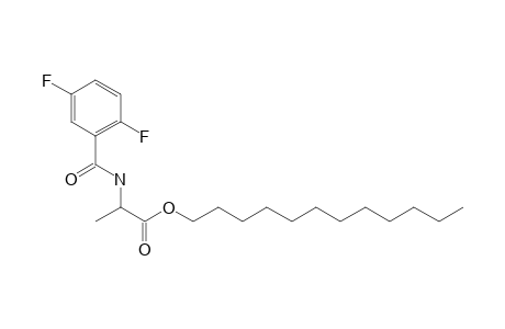 D-Alanine, N-(2,5-difluorobenzoyl)-, dodecyl ester