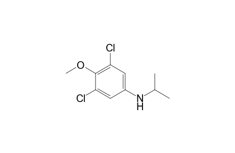 Benzenamine, 3,5-dichloro-4-methoxy-N-(1-methylethyl)-