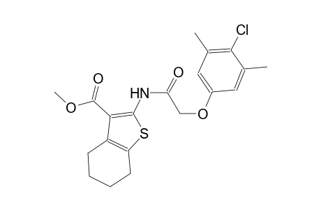 benzo[b]thiophene-3-carboxylic acid, 2-[[(4-chloro-3,5-dimethylphenoxy)acetyl]amino]-4,5,6,7-tetrahydro-, methyl ester