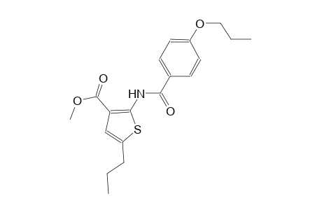 methyl 2-[(4-propoxybenzoyl)amino]-5-propyl-3-thiophenecarboxylate