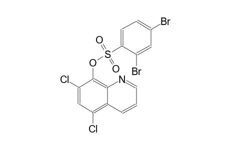 benzenesulfonic acid, 2,4-dibromo-, 5,7-dichloro-8-quinolinyl ester