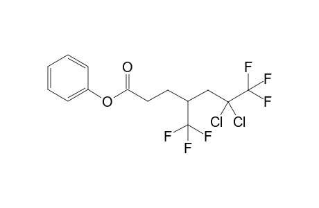 Phenyl 6,6-dichloro-7,7,7-trifluoro-4-(trifluoromethyl)heptanoate