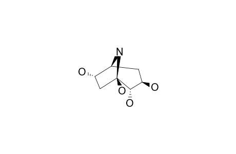 CALYSTEGINE-B1