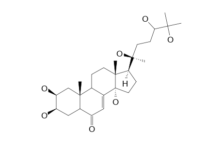 PINNATASTERONE