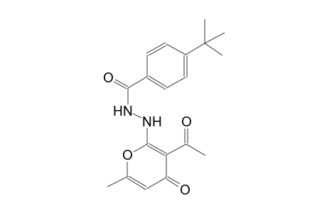 N'-(3-acetyl-6-methyl-4-oxo-4H-pyran-2-yl)-4-tert-butylbenzohydrazide