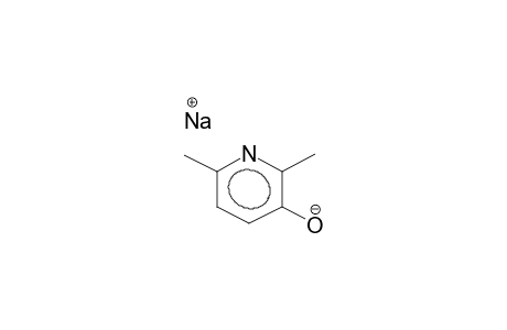 2,6-DIMETHYL-3-HYDROXYPYRIDINE, SODIUM SALT