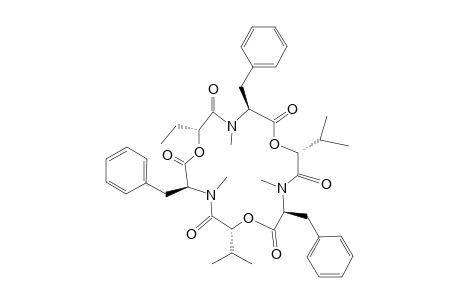 BEAUVERICIN_G_1