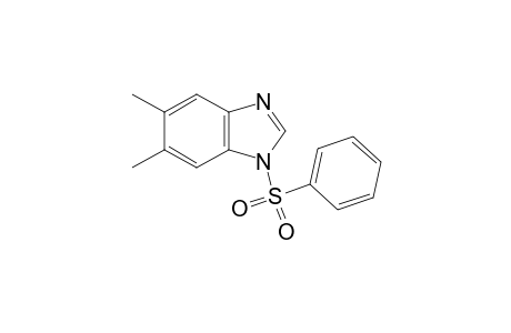 1-(benzenesulfonyl)-5,6-dimethyl-benzimidazole