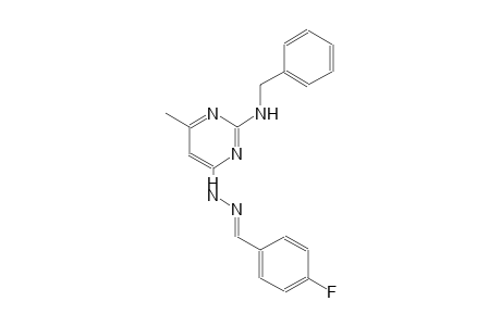 4-fluorobenzaldehyde [2-(benzylamino)-6-methyl-4-pyrimidinyl]hydrazone