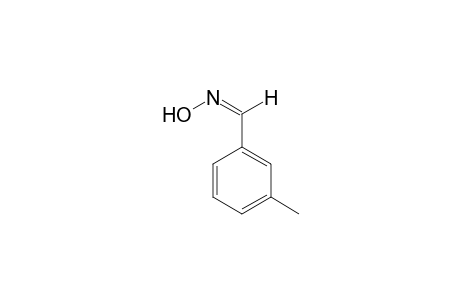 3-Methylbenzaldehyde-oxime II